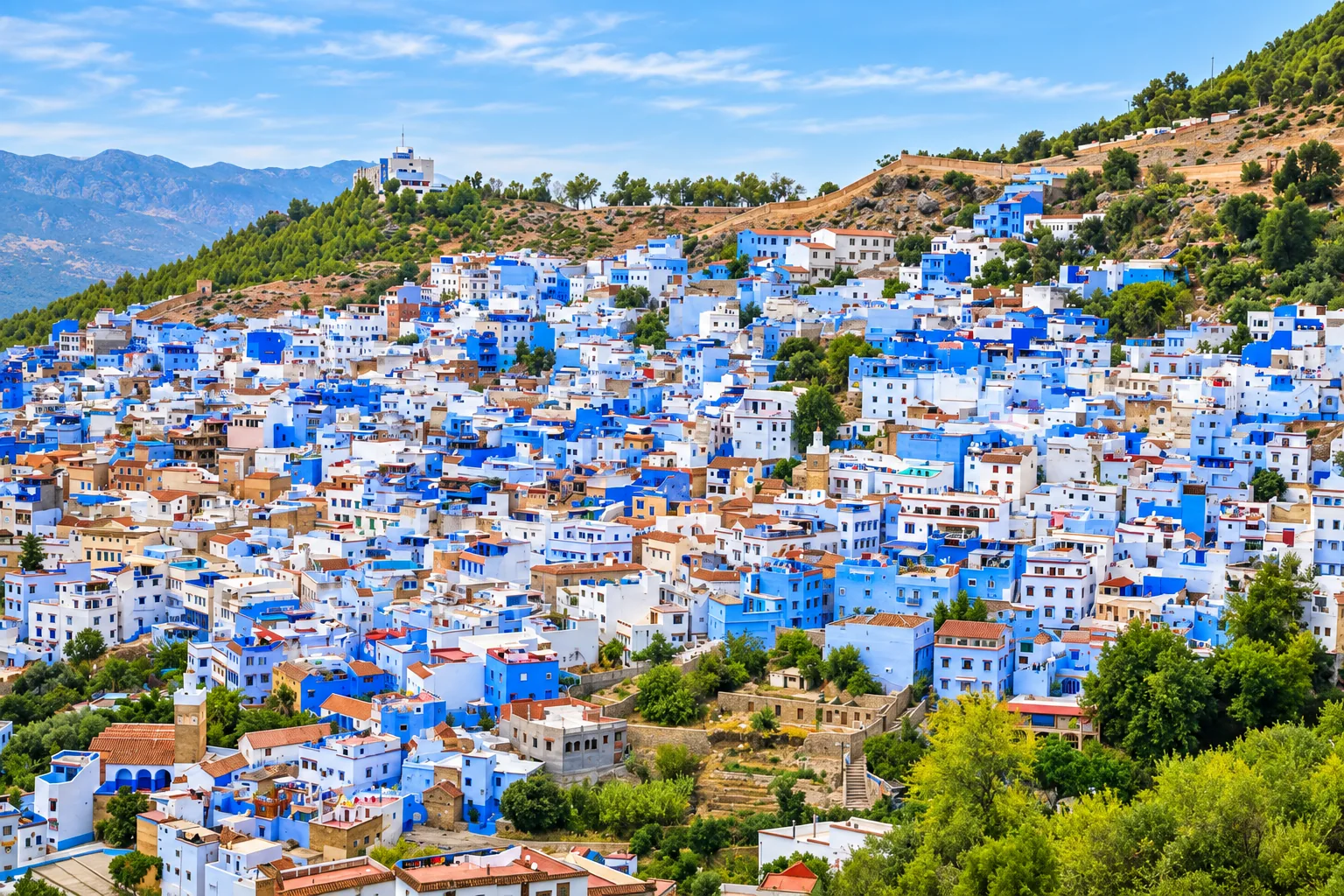 Blue and white houses of Chefchaouen across a green mountainside in Morocco